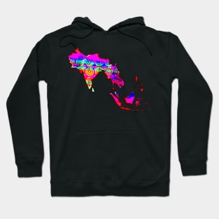 Hindustan empire Hoodie